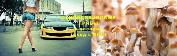 кокаин Заводоуковск