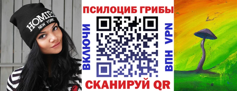 Купить  Когалым  Псилоцибиновые грибы Psilocybine cubensis 
